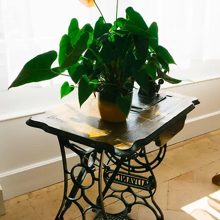 Vanille Bourbon Bed and breakfast Montauban
