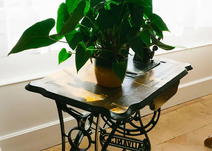 Vanille Bourbon Bed & Breakfast Montauban